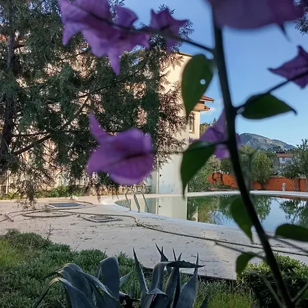Soni Dalyan Otel *